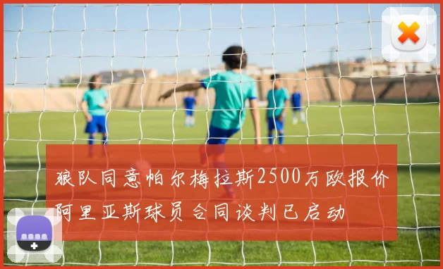 狼队同意帕尔梅拉斯2500万欧报价阿里亚斯球员合同谈判已启动
