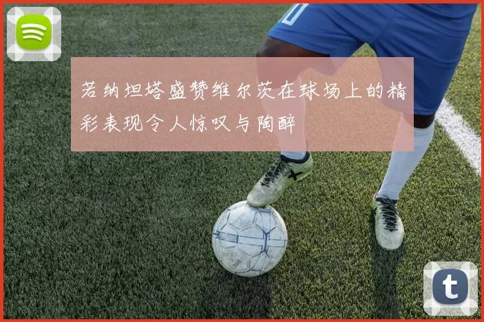 若纳坦塔盛赞维尔茨在球场上的精彩表现令人惊叹与陶醉
