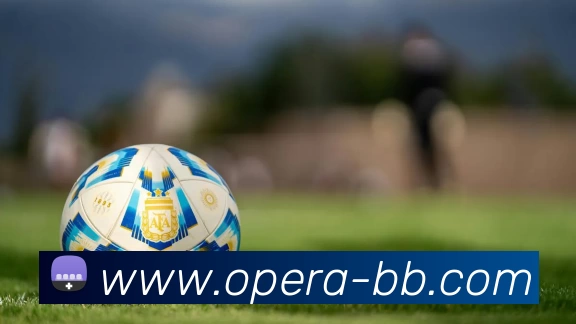 贝博体育发展历程